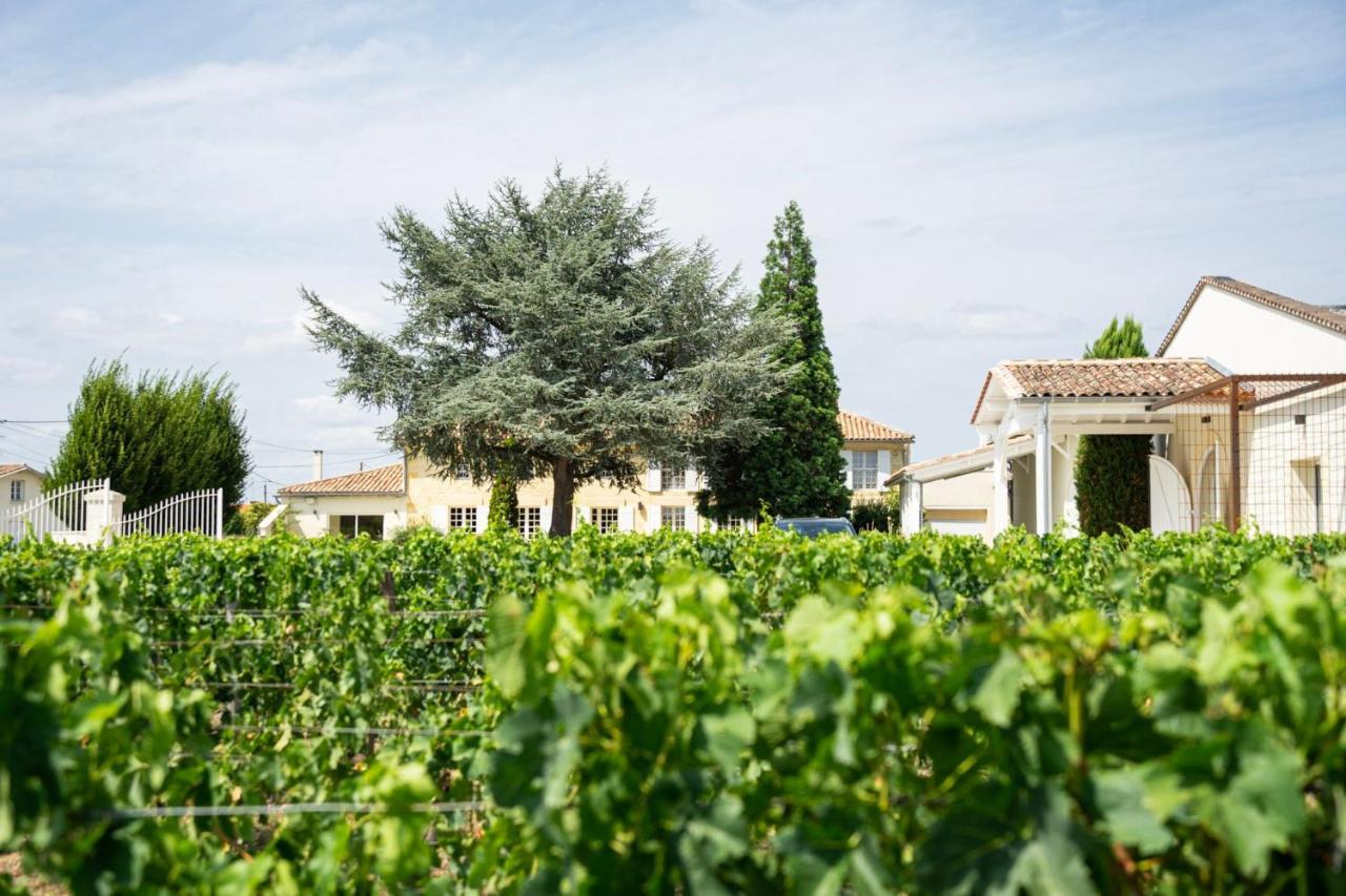 Chateau Haut-Brisson Vignonet Ngoại thất bức ảnh